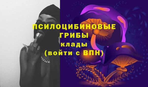 бошки Алексеевка