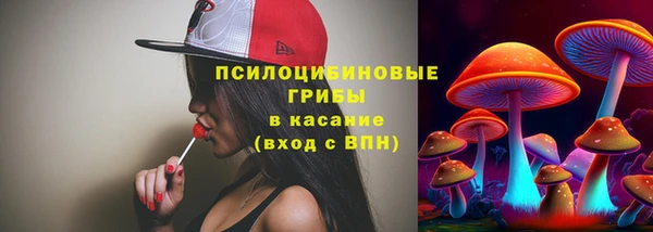 дживик Алексин