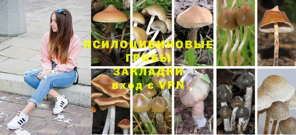 дживик Алексин