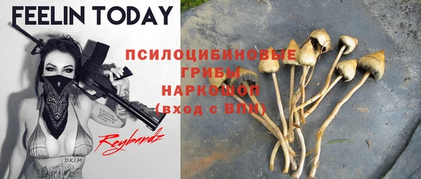 бошки Алексеевка