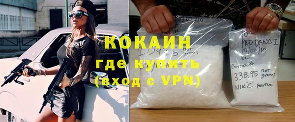 дживик Алексин